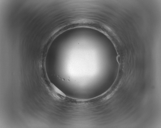 X0000069831017200605191134