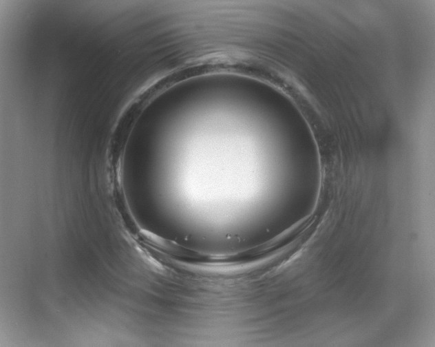 X0000069831018200605191134