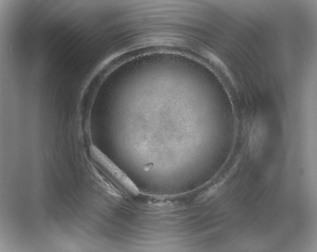 X0000069831019200605191134