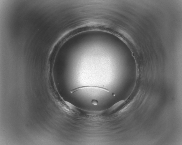 X0000069831021200605191134