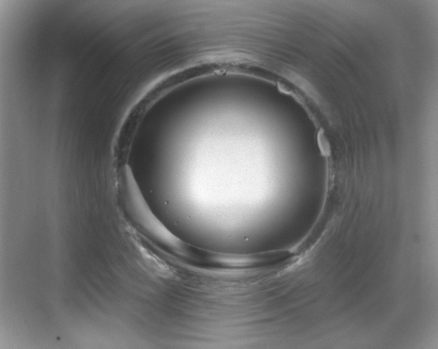 X0000069831022200605191134