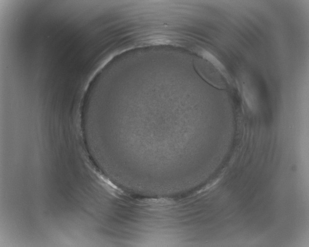 X0000069831023200605191134