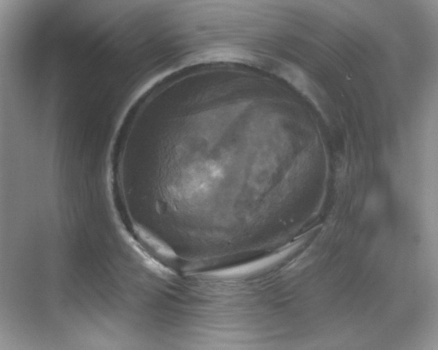 X0000069831024200605191134