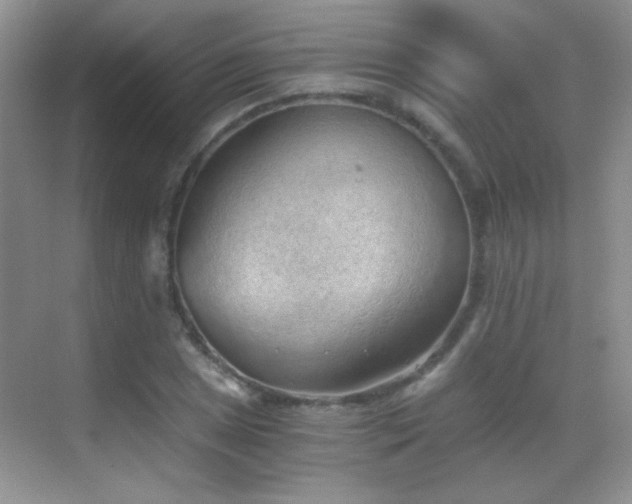 X0000069831025200605191134