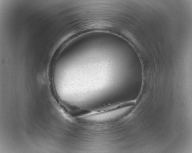 X0000069831026200605191134