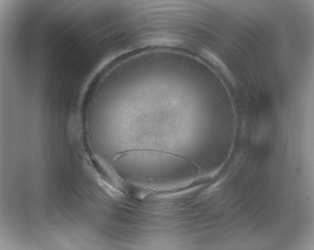 X0000069831027200605191134