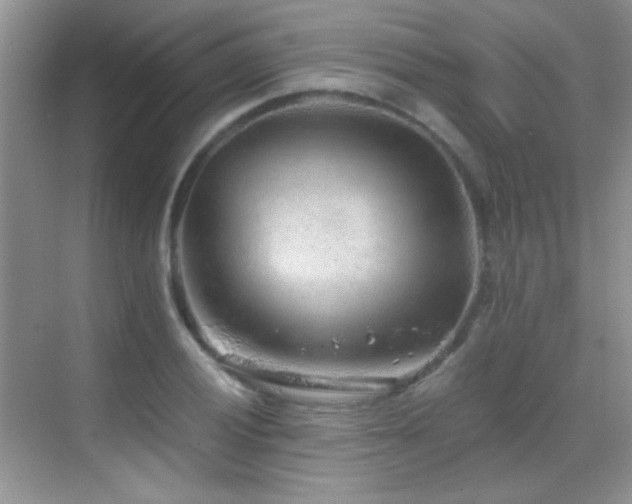 X0000069831028200605191134