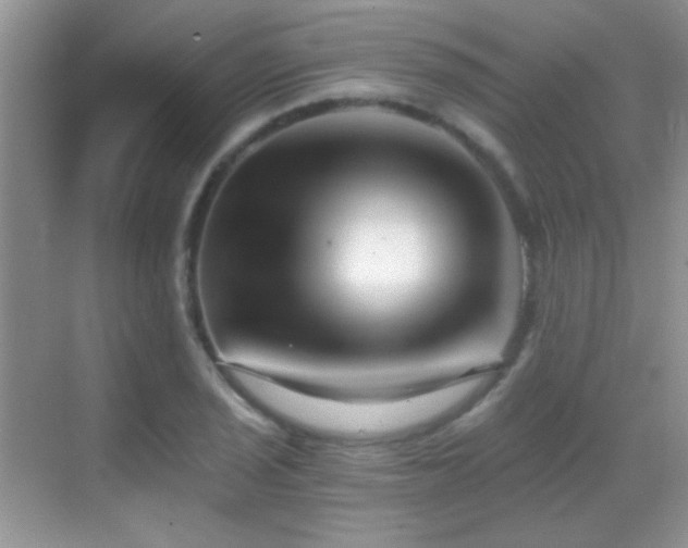 X0000069831029200605191134