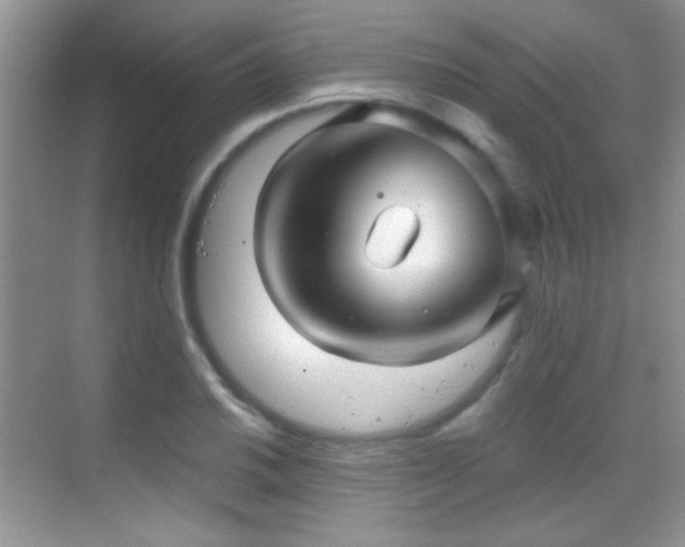 X0000069831030200605191134