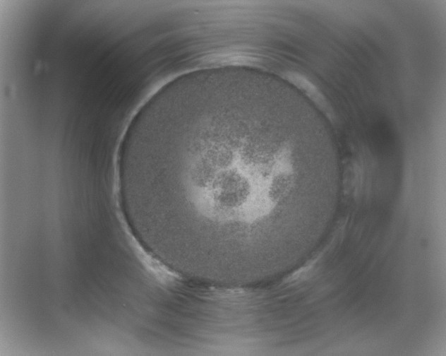 X0000069831031200605191134