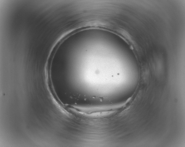 X0000069831032200605191134