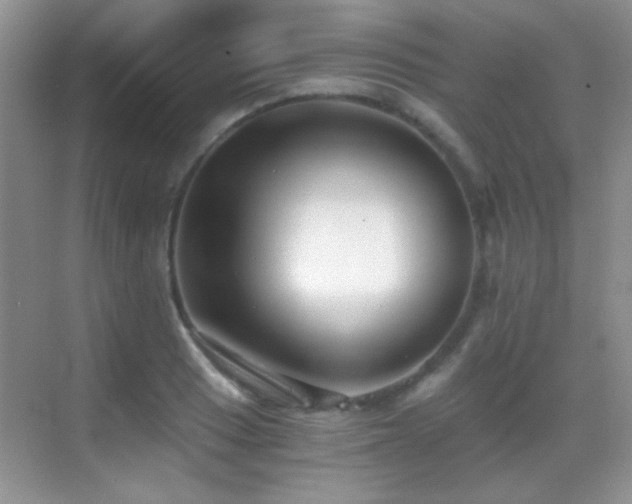 X0000069831033200605191134