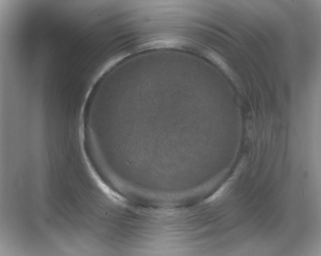 X0000069831034200605191134