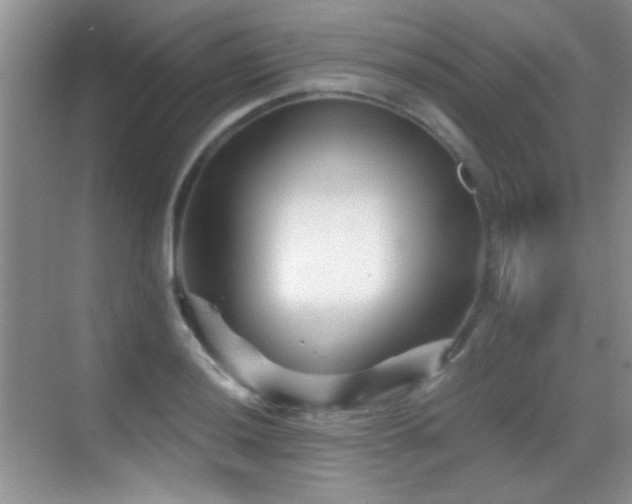 X0000069831036200605191134