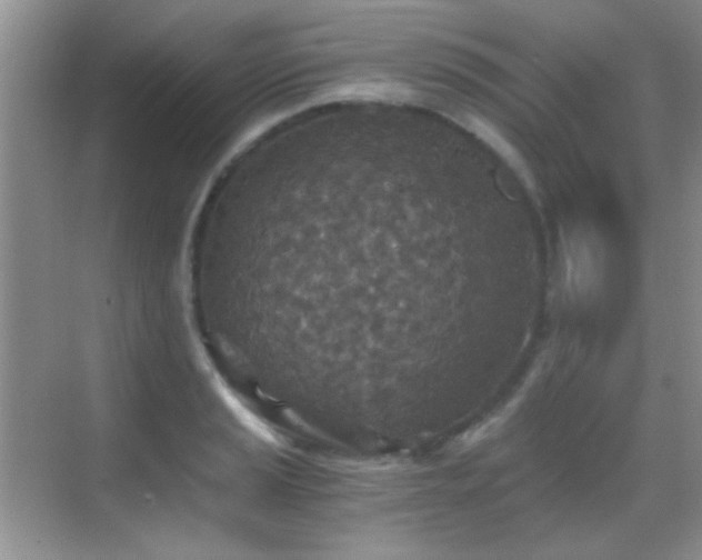 X0000069831037200605191134