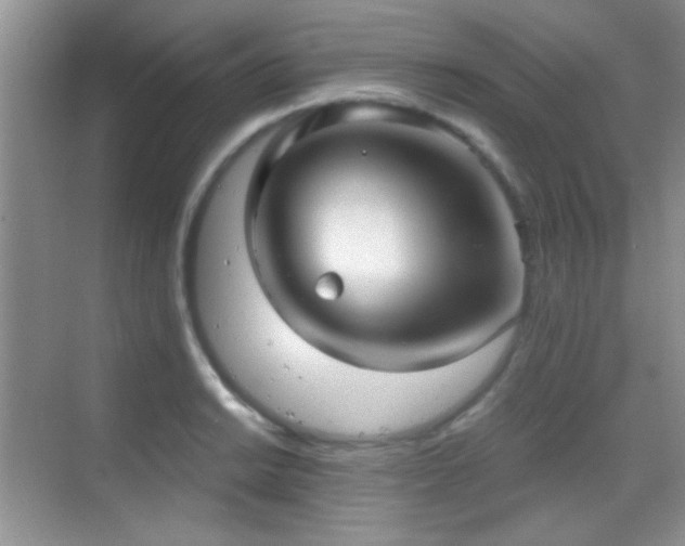 X0000069831038200605191134