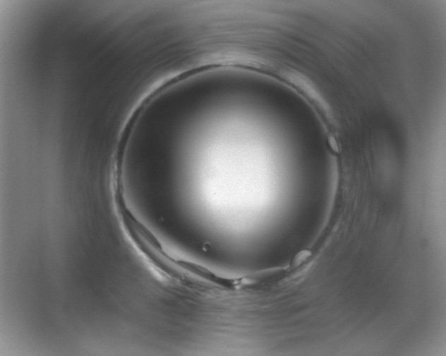 X0000069831040200605191134