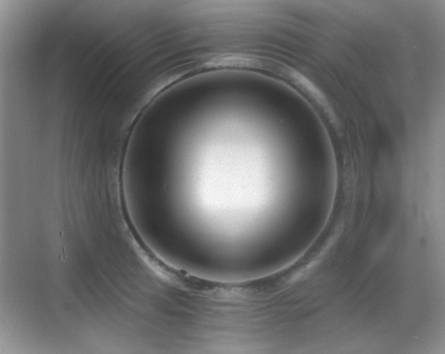 X0000069831041200605191134