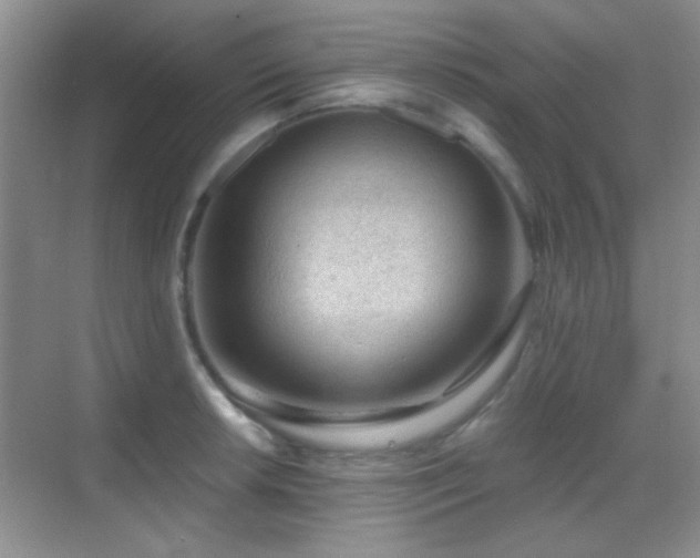 X0000069831042200605191134