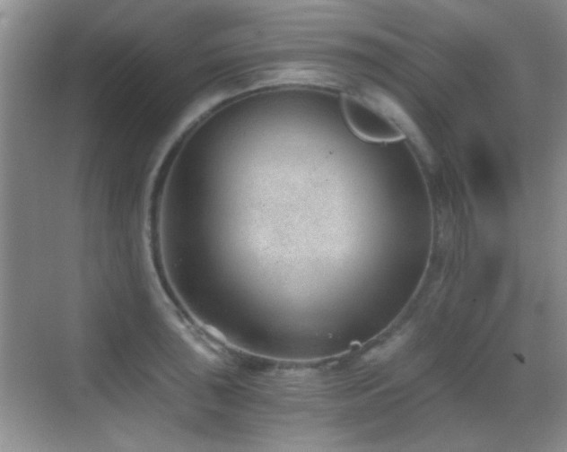 X0000069831043200605191134