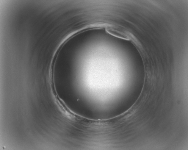 X0000069831044200605191134