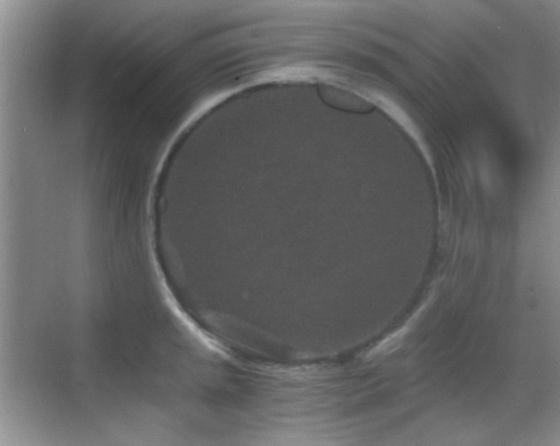 X0000069831045200605191134