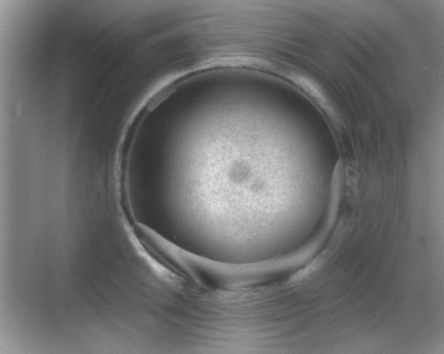 X0000069831046200605191134