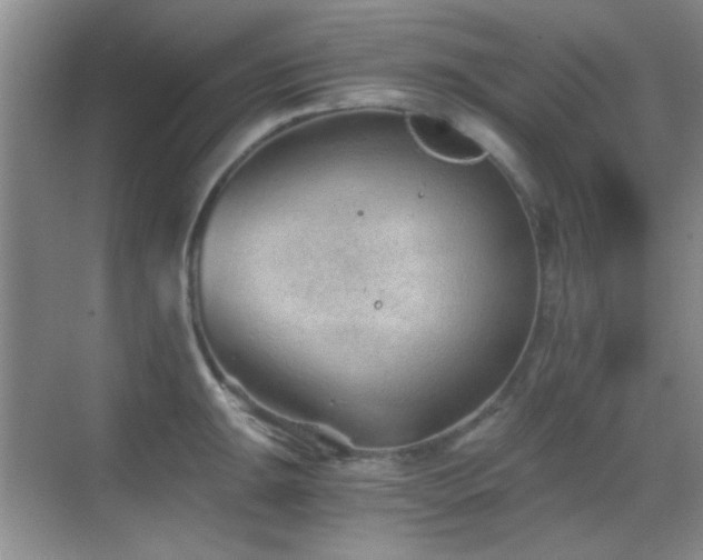 X0000069831047200605191135