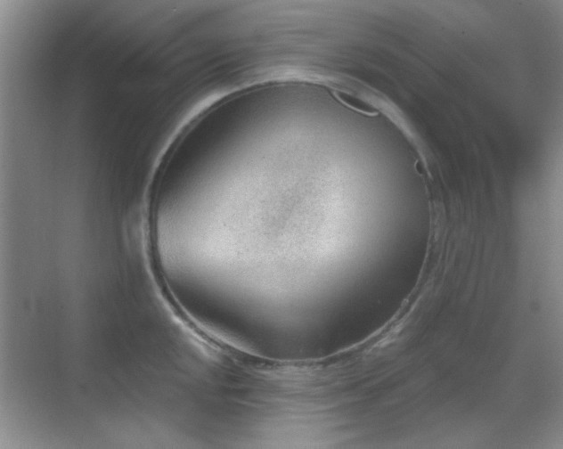 X0000069831048200605191135