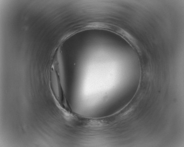 X0000069831049200605191135