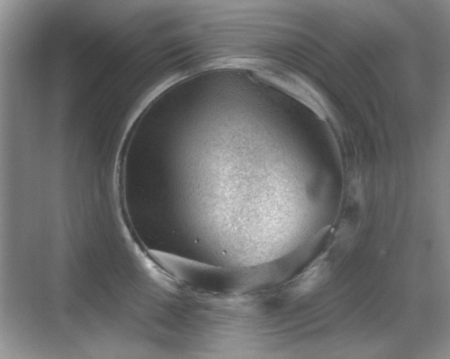 X0000069831050200605191135