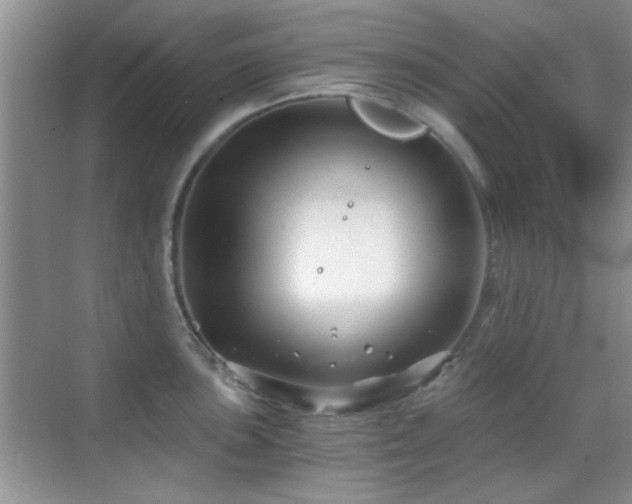 X0000069831051200605191135