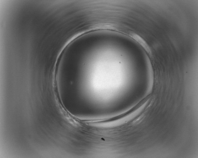 X0000069831052200605191135