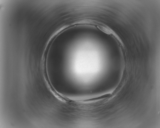 X0000069831053200605191135