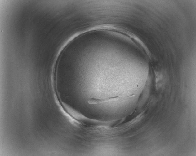 X0000069831054200605191135