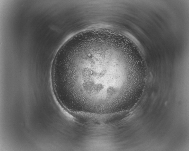 X0000069831055200605191135