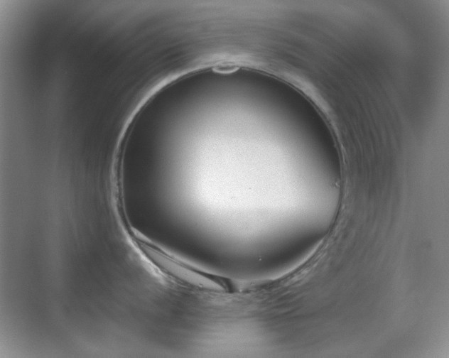 X0000069831056200605191135