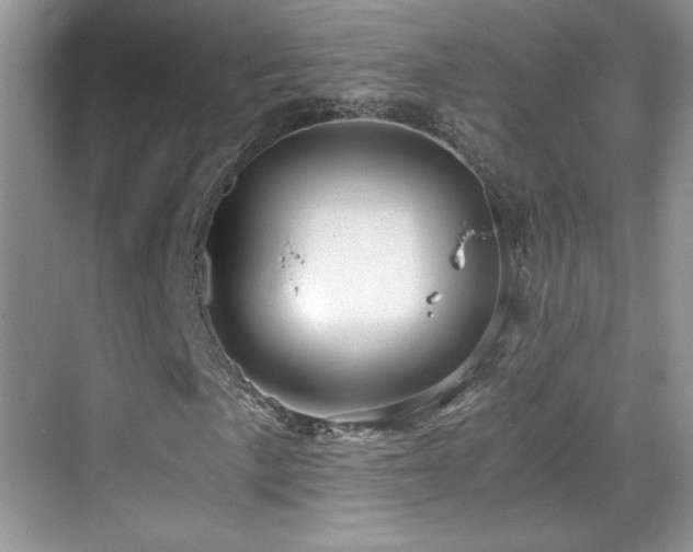 X0000069831057200605191134