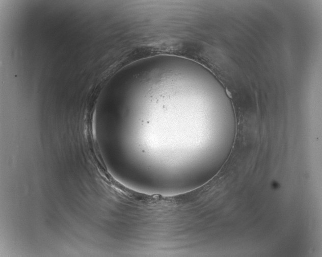 X0000069831058200605191134