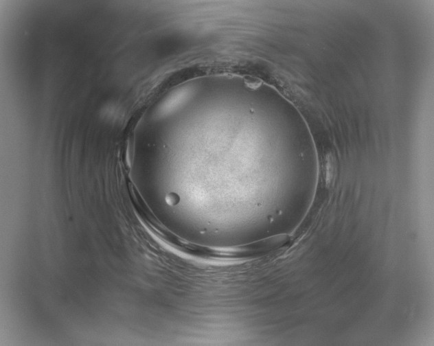 X0000069831059200605191134