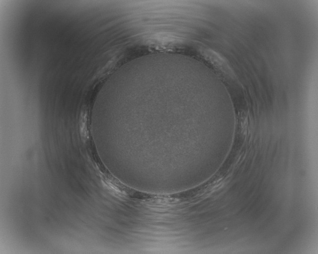 X0000069831060200605191134