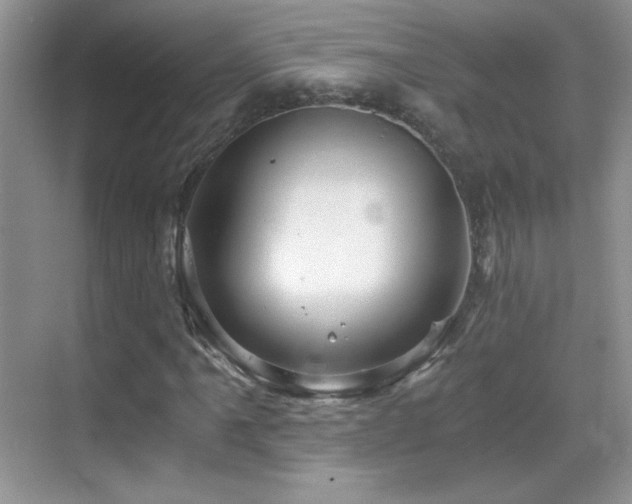 X0000069831061200605191134