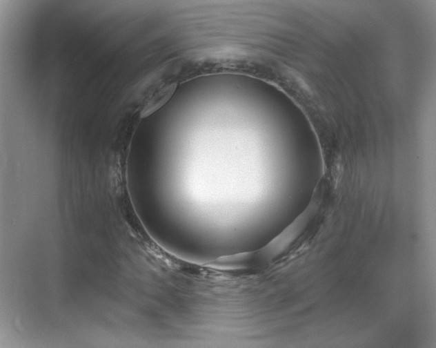 X0000069831062200605191134