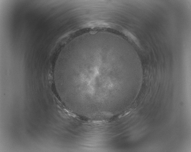 X0000069831063200605191134