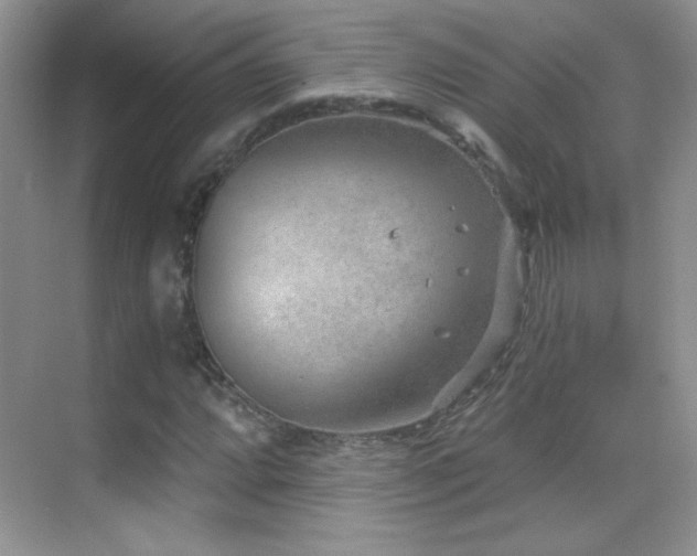 X0000069831064200605191134