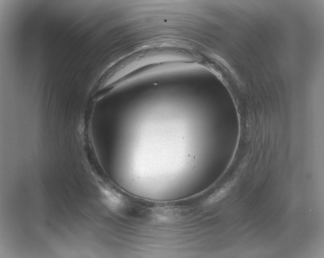 X0000069831065200605191134