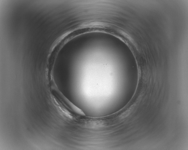 X0000069831066200605191134