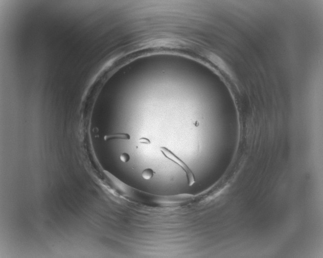 X0000069831067200605191134