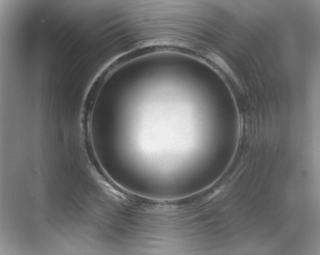 X0000069831068200605191134