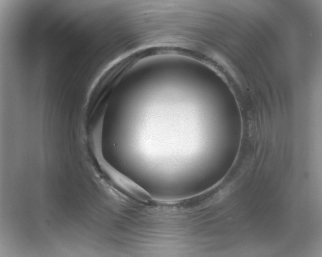 X0000069831069200605191134